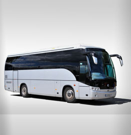 mini coach service