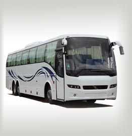 large coach service