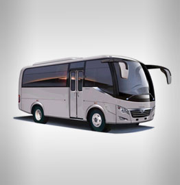 mini coach service